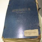 593 3398 Herbarium